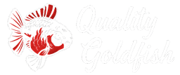 Quality GoldFish